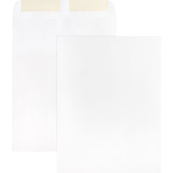 Business Source Catalog Envelopes, Plain, 28Lb., 9" x 12", 250 Pack, White