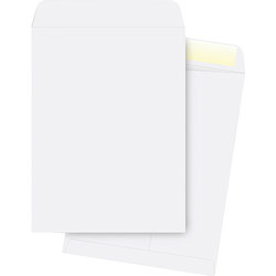 Business Source Catalog Envelopes, Plain, 28Lb., 10" x 13", 250 Pack, White