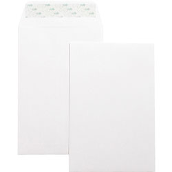 Business Source Catalog Envelopes, Self Seal, Plain, 6 in x 9 in, White Wove