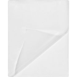 Business Source Laminating Pouch, Letter, 5Mil, 9 in x 11-1/2 in, 100/BX, Clear