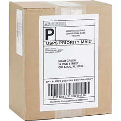 Business Source Mailing Laser Labels, Perm Adhesive, 5-1/2 in x 8-1/2 in, White