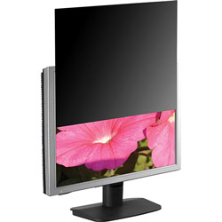 Business Source Privacy Filter, Blackout, f/21.5 in Wide-screen, 16.9, Black