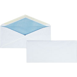 Business Source Security Regular Envelopes, No. 10, 7-1/8 inx9-1/2 in, 500/BX, White