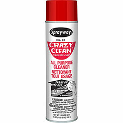 Claire Crazy Clean All-Purpose Cleaner, Foam Spray, 19 fl oz (0.6 quart), White