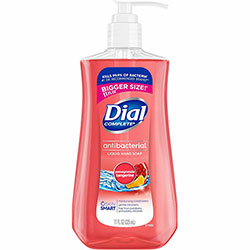 Dial Complete® Pomegranate Tangerine Antibacterial Hand Soap, 11 fl oz (325.3 mL)
