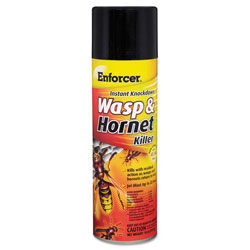 Enforcer Wasp & Hornet Killer IIb, 16 oz Aerosol Can