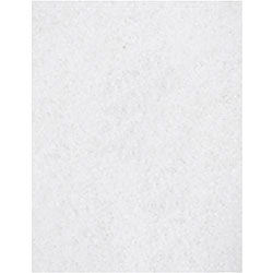 Genuine Joe Polishing Floor Pad - 5/Carton - 14 in Width - White