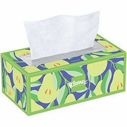 Kimberly-Clark Trusted Care Tissues, 2 Ply, White, Wood Pulp, Soft, Absorbent, Thick, For Face, 160 Per Box, 24/Carton
