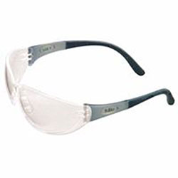 MSA Arctic™ Elite Protective Eyewear, Clear Lens, Anti-Fog, Clear Frame