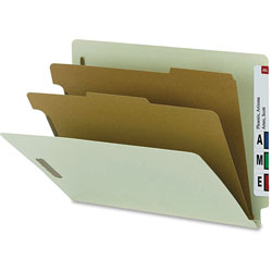 Nature Saver Classification Folder, w/ 2 Dividers, Letter, 10/Box, Gray