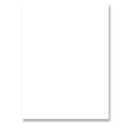Nature Saver Construction Paper, Smooth Texture, 9"x12", Bright White