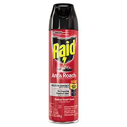 Raid Ant and Roach Killer, 17.5 oz Aerosol Spray, Outdoor Fresh