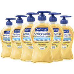 Softsoap Antibacterial Hand Soap Pump - Citrus Scent - 11.3 fl oz (332.7 mL) - Pump Bottle Dispenser - 6 / Carton