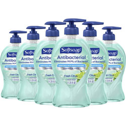 Softsoap Antibacterial Soap Pump, Fresh Citrus Scent, 11.3 fl oz, 6/Carton