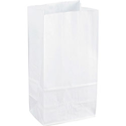 Sparco Paper Bags, 6 in x 11 in, 10/PK, White