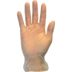 The Safety Zone Powder Free Clear Vinyl Gloves - Large Size - Clear - 1000 / Carton - 9.25 in Glove Length
