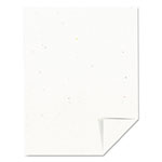 Astrobrights Color Cardstock, 65 lb, 8.5 x 11, Stardust White, 250/Pack view 1